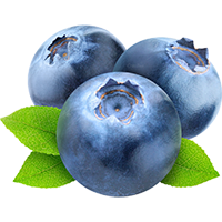 Blueberry Flavor