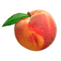 Peach Flavor